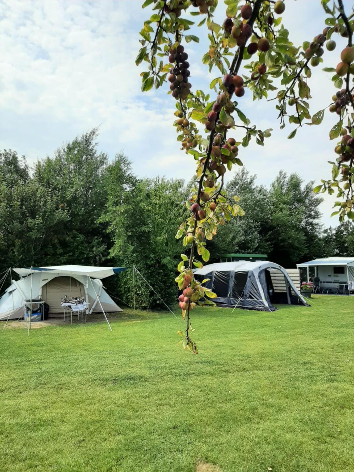 Camping De Tulpenweide Lege Kampeerplaats, Lege Plaats Op Het Gras Zonder Bed Breezand Eksteriør bilde