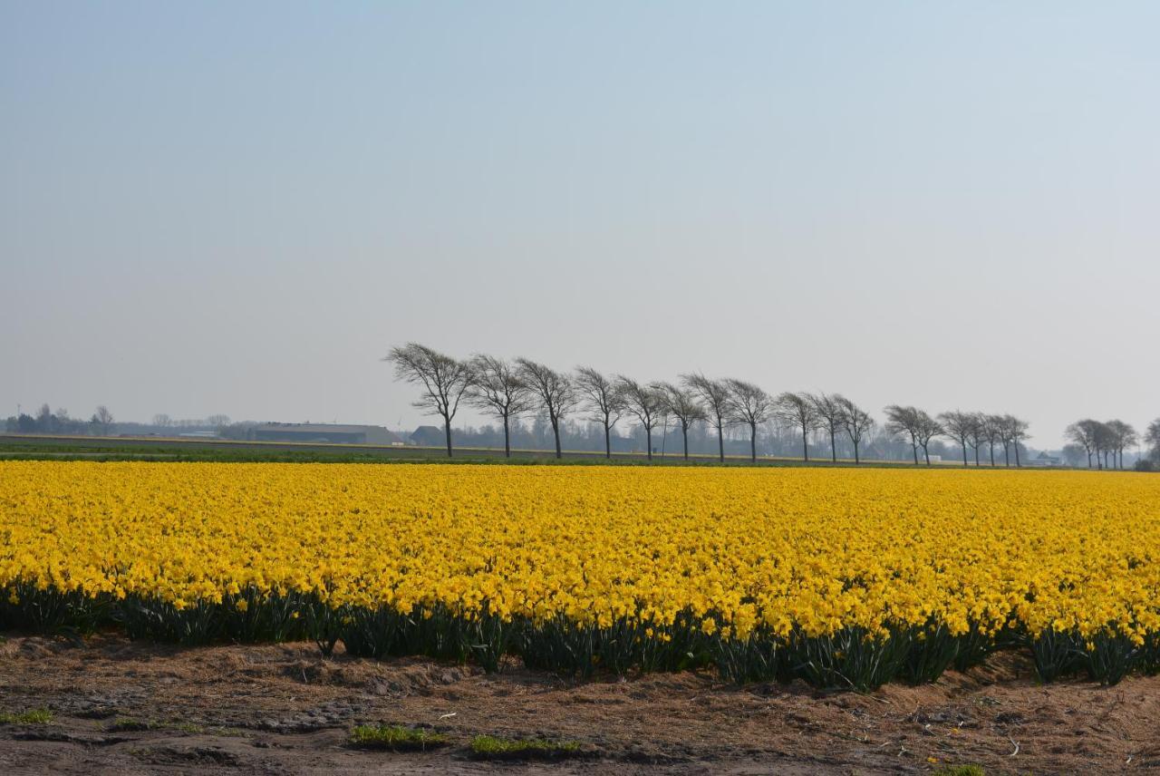 Camping De Tulpenweide Lege Kampeerplaats, Lege Plaats Op Het Gras Zonder Bed Breezand Eksteriør bilde