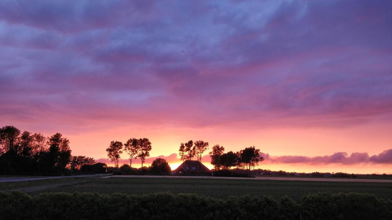 Camping De Tulpenweide Lege Kampeerplaats, Lege Plaats Op Het Gras Zonder Bed Breezand Eksteriør bilde